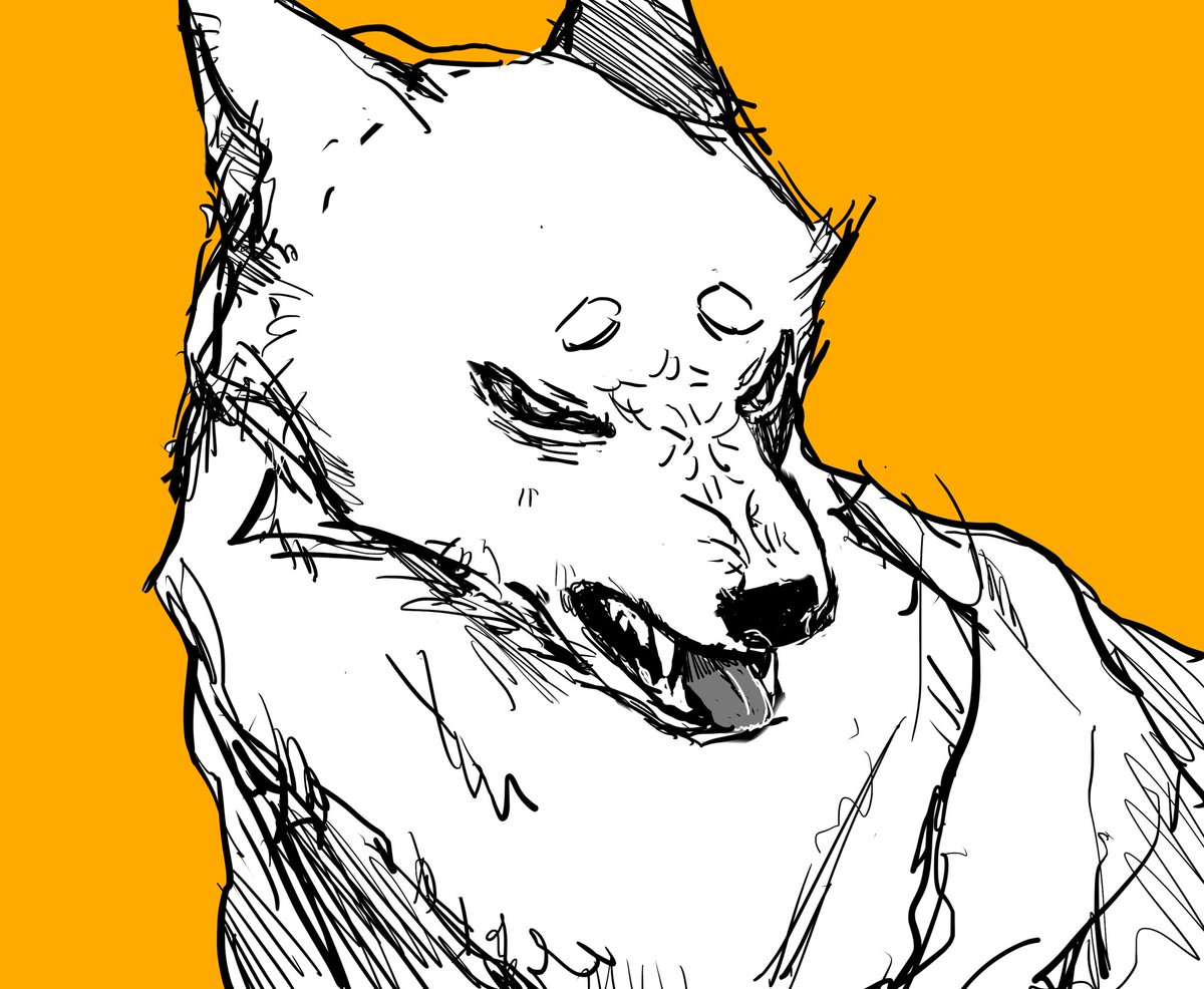 かもみら 犬 落書き