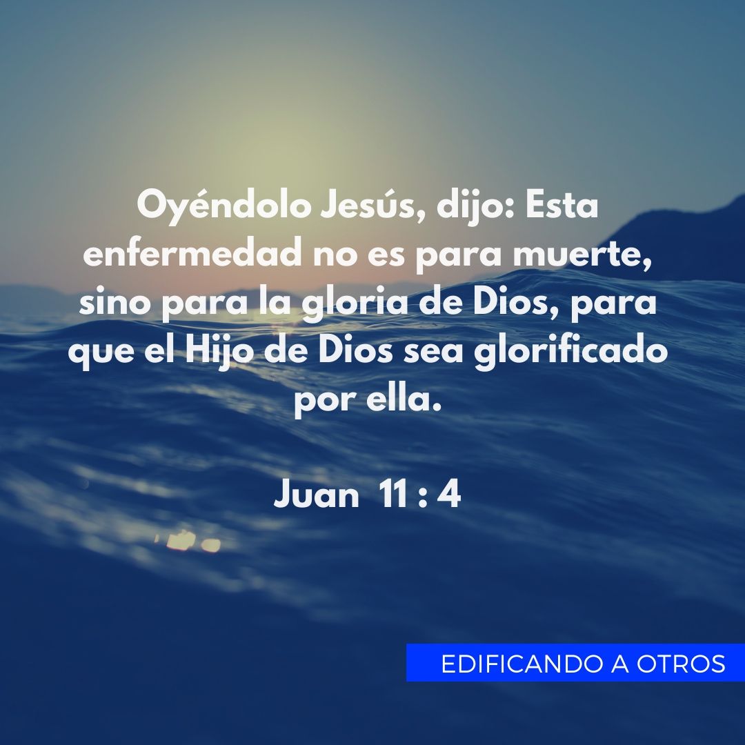 EdificandoAO's tweet photo. #EdificandoAOtros https://t.co/Epgqo6j4Nb