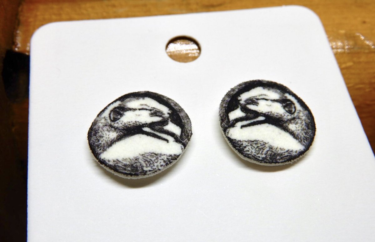 buck_lj's tweet image. Dormouse Stud Earrings - Cute Animal Jewellery - Thinking Of You Gift - Gift For Wildlife Lover - Shrink Plastic. tuppu.net/47b25c49 #Etsy #Slumbermonkey #RoundStuds