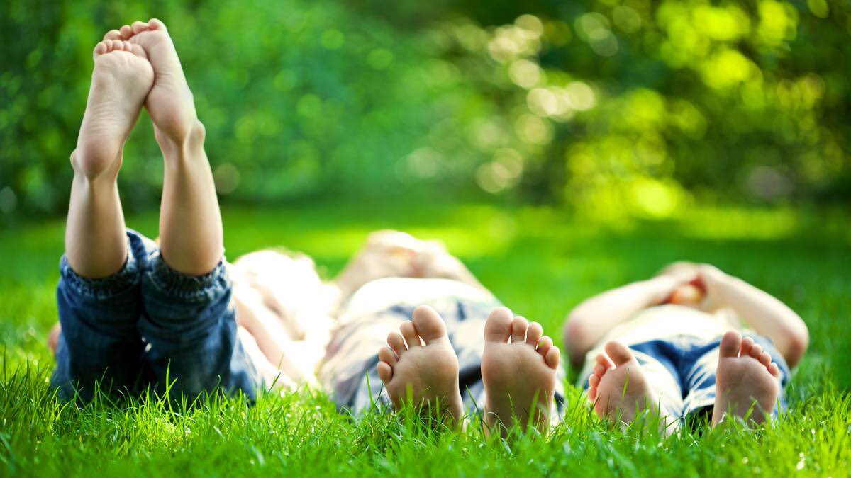 EducaciónResponsable tweet media