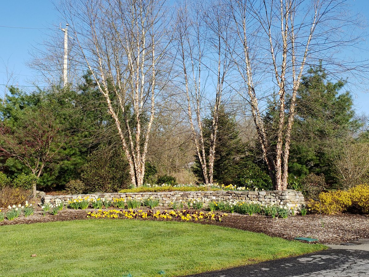 STRAUSERNATURE's tweet photo. Spring is alive outside.
Commercial landscapes in Pennsylvania https://t.co/JbajSGpzAX