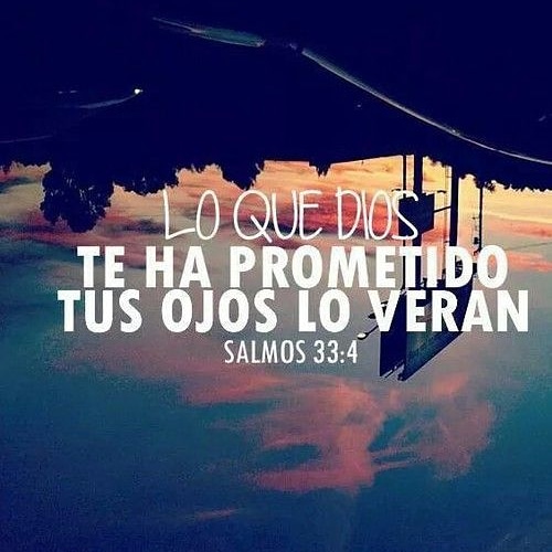 MirandaCaleb's tweet photo. Bendición  en este día para todos. https://t.co/401qwcU5g2
