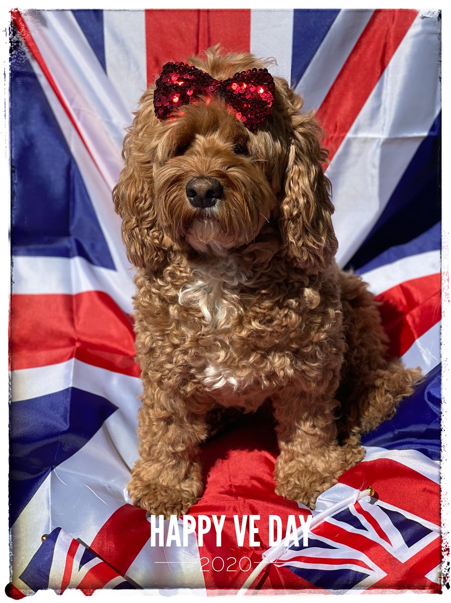 Little Rea tweet media