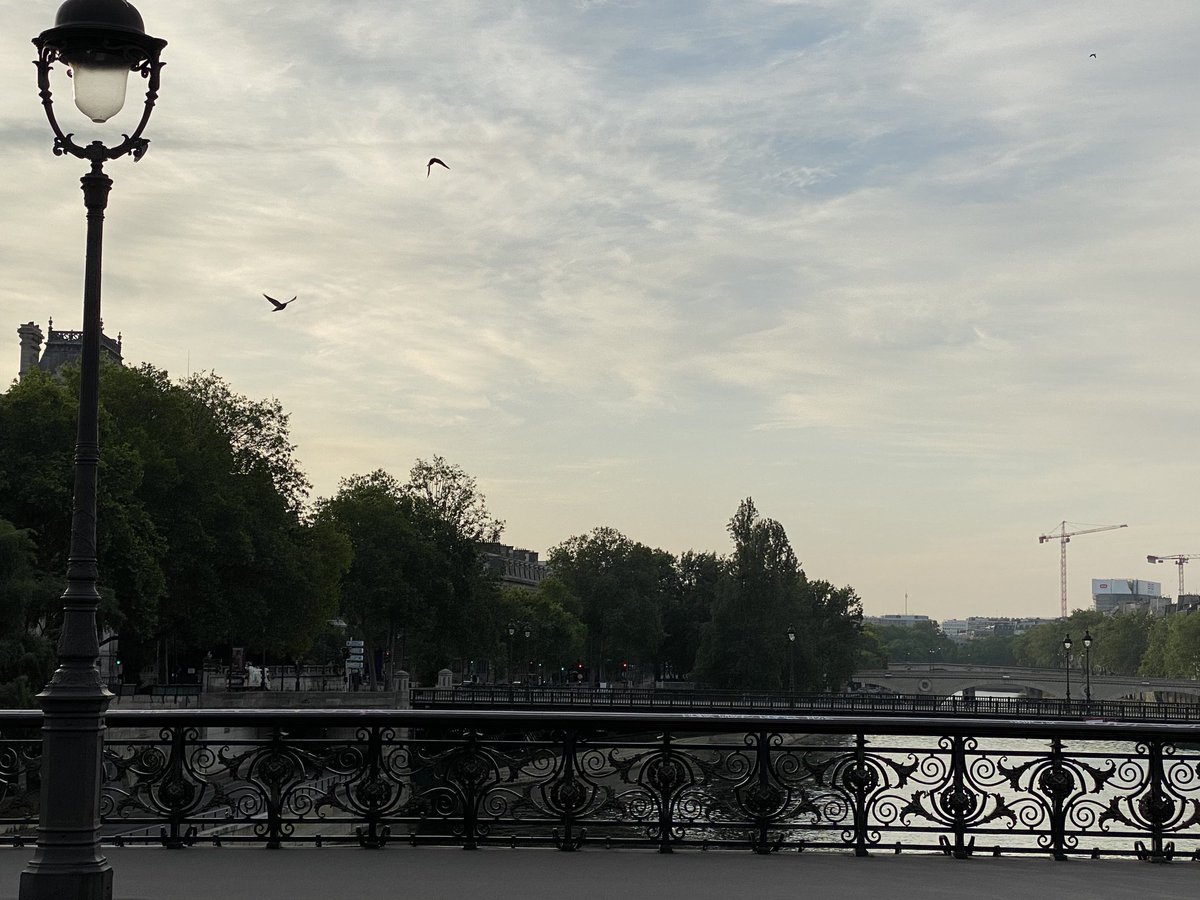 GeraldineAmiel's tweet photo. Morning walk #Paris #France https://t.co/qfPAMLvwHL