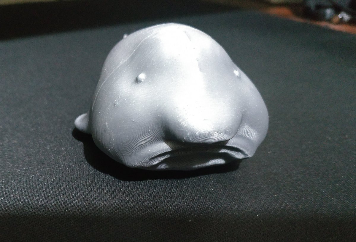 Mq_SoMaPS's tweet photo. We have a late but spectacular entry to the renowned #PetsofMQ showcase. This prime specimen Blobfish* is owned by @mqphysastro Tech Team wizard James. *Disclaimer: Not an actual Blobfish. @Macquarie_Uni @MQSciEng https://t.co/yW5yP3ztLm
