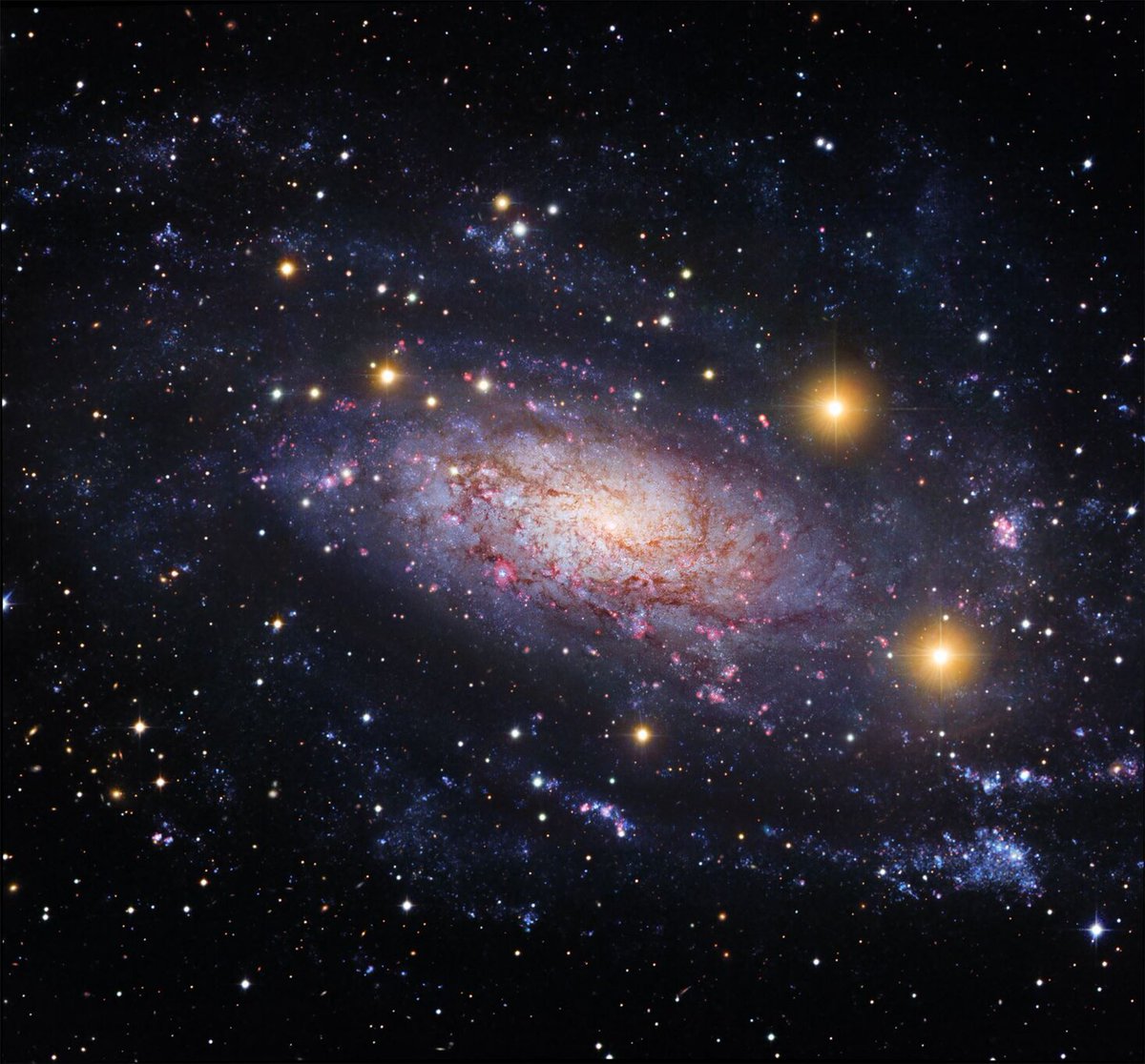 astrogid's tweet photo. NGC 3621: дaлeкo зa пpeдeлaми Mecтнoй гpуппы гaлaктик https://t.co/1mhHNZmncY
