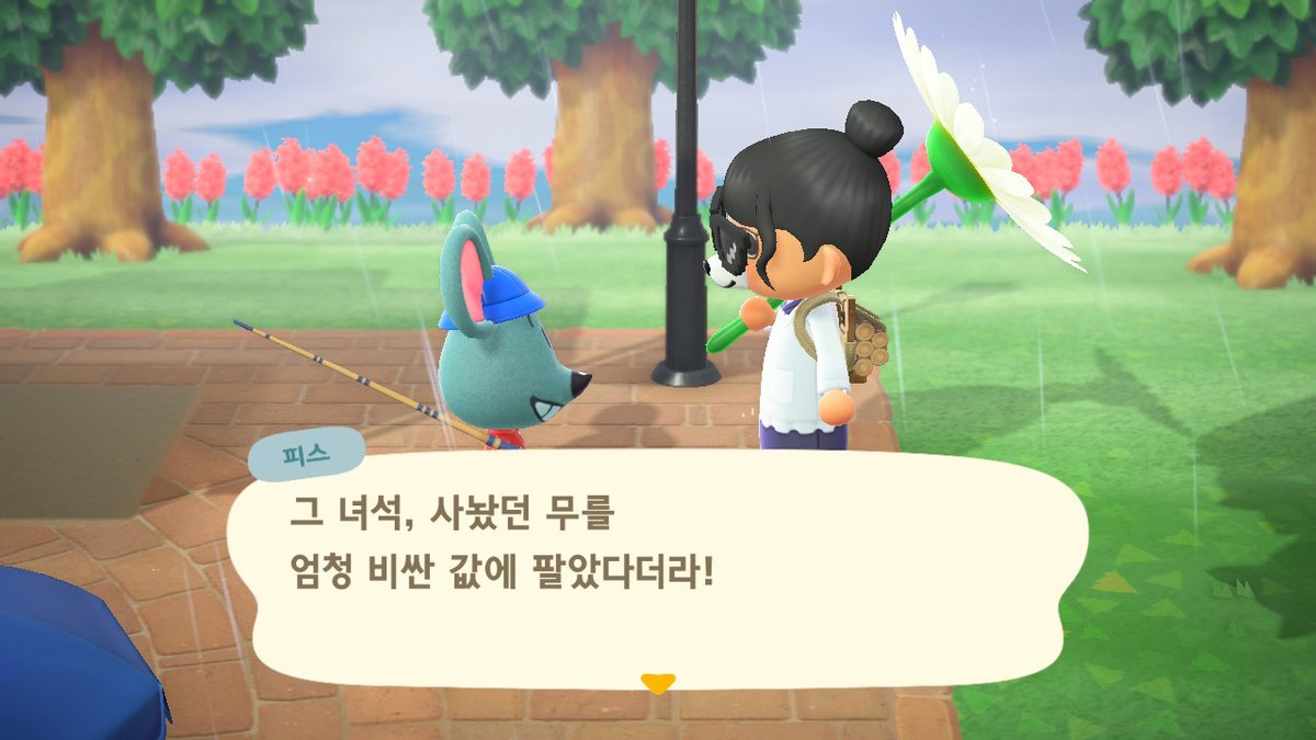 혈육네 섬으로 이사간 힘드러쿤 소문난 혈육의 무트코인 #동물의숲 #AnimalCrossing #ACNH #NintendoSwitch