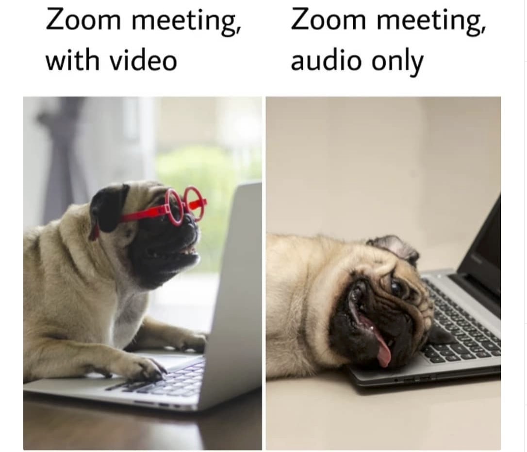 ShaadiAtWork on Twitter: "Updated version - Zoom meeting Audio ...