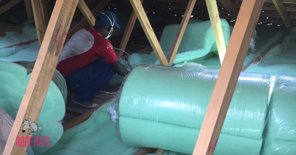 RoofRatsRSA's tweet photo. Get ready for winter - time to insulate.
Roof Rats (Pty) Ltd:
Johannesburg Office: 011-462-0209
Cape Town Branch: 021-204-7979
Durban Branch: 031-109-2080
#roofrats #roofratsrsa #roofer #roofing #insulation #isotherm #roofissues #winter #keepwarm #warmhouse #heat #heating https://t.co/My8LKDa3ov