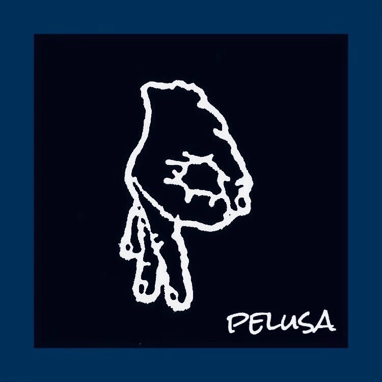W19145156's tweet photo. キャンパスサポート和泉店です😊
【部活・サークル紹介第4弾‼️】

『Pelusa』
球技にダンスの要素を取り入れたフリースタイルフットボール・バスケットボールサークルです。音楽を使って様々なパフォーマンスを行っています。

Twitterはこちら☞@ffpelusa https://t.co/KAXn38RToP