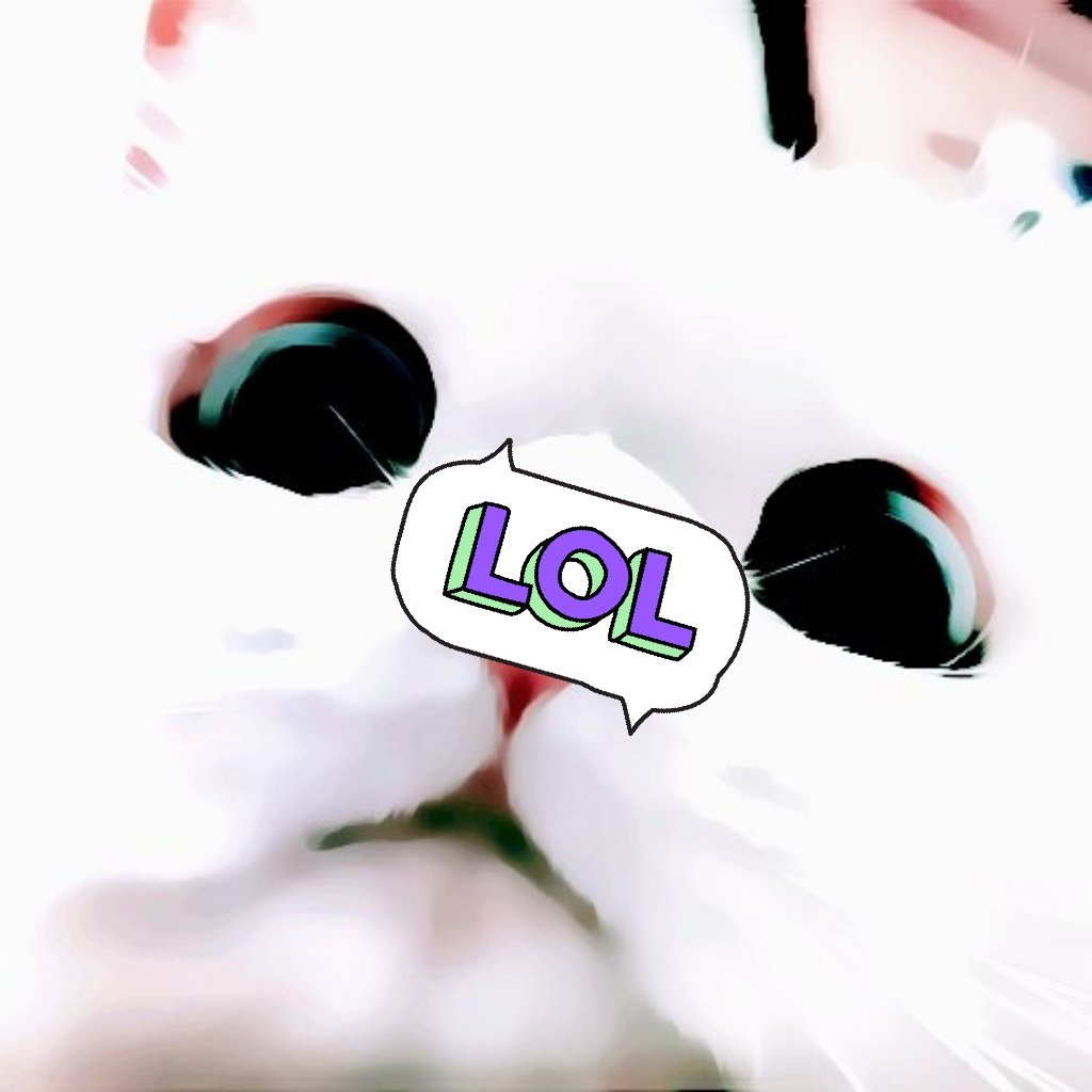 #.NewProfilePic ดิสเท่จุงเบย