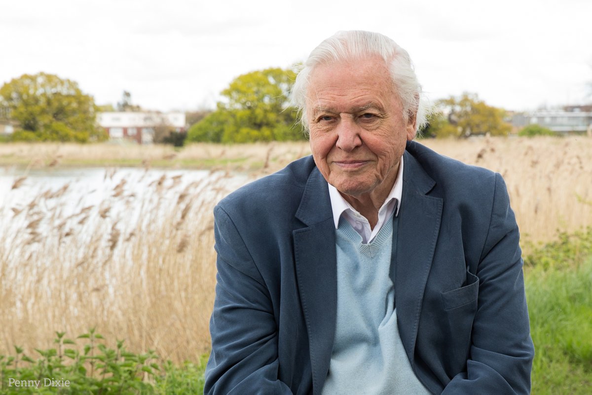 The Wildlife Trusts tweet media