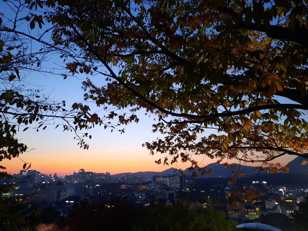mutday's tweet photo. This place was the height of Hanuel Park, Namsan Tower, &amp; Naksan Park. Wow.... See it, it's very awesome. I’m very pleased to see the leaves colored yellow and red. If you're going to traveling to Korea in autumn, this place is highly recommended #VisitKorea #Koreatrip https://t.co/oUyU9RfCta