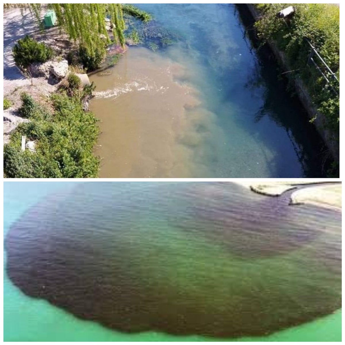 globulorosso's tweet photo. Queste due foto del fiume #Sarno e di #castelvolturno sono diventate iconiche della #fase2 in Campania
Non è la tutela dell'ambiente materia regionale?
Chi andrà col lanciafiamme all'#arpac a prendere #cinghialoni e #fratacchioni che lo abitano e che qualcuno avrà pur nominato? https://t.co/WItq7CTqu2