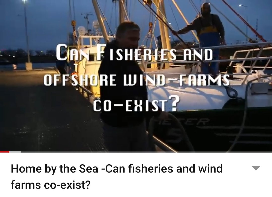 EMKvissers's tweet photo. #Onthullend | Franse en Nederlandse vissers rapporteren over de #milieuschade van #windmolens op zee. https://t.co/2OtK4IUqoo https://t.co/5MPf2rVwIE