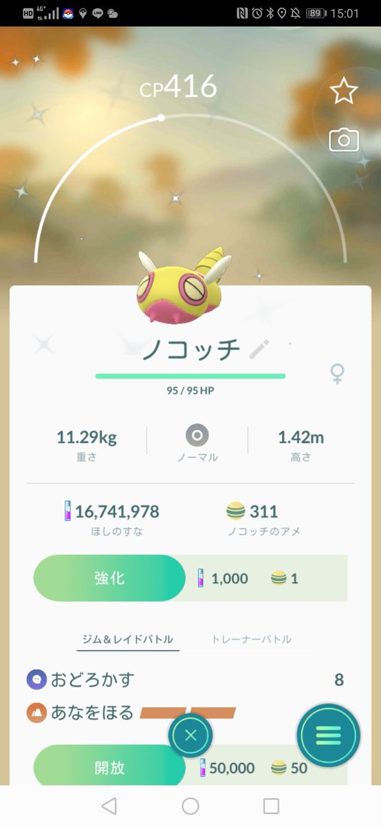 ノコッチ Twitter Search