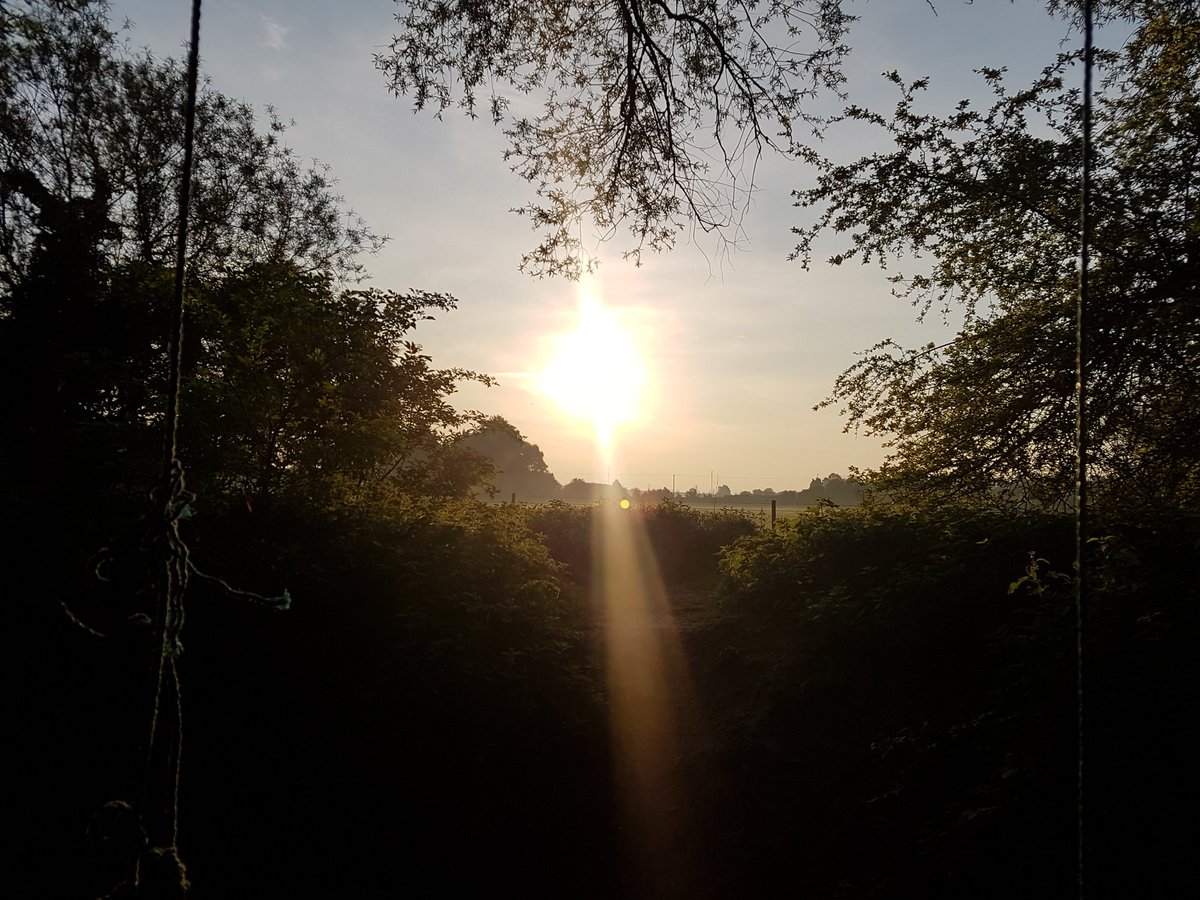 ETWILO's tweet photo. Good morning world! I was up at 5 to watch the sunrise today. #StMichaelAlignment #EnergyLines #DragonLines #Leylines BEAUTIFUL! Have hope 🌱🌳 #TheGreatAwakeningWorldwide #TheGreatAwakening https://t.co/IhWAHWzW2G