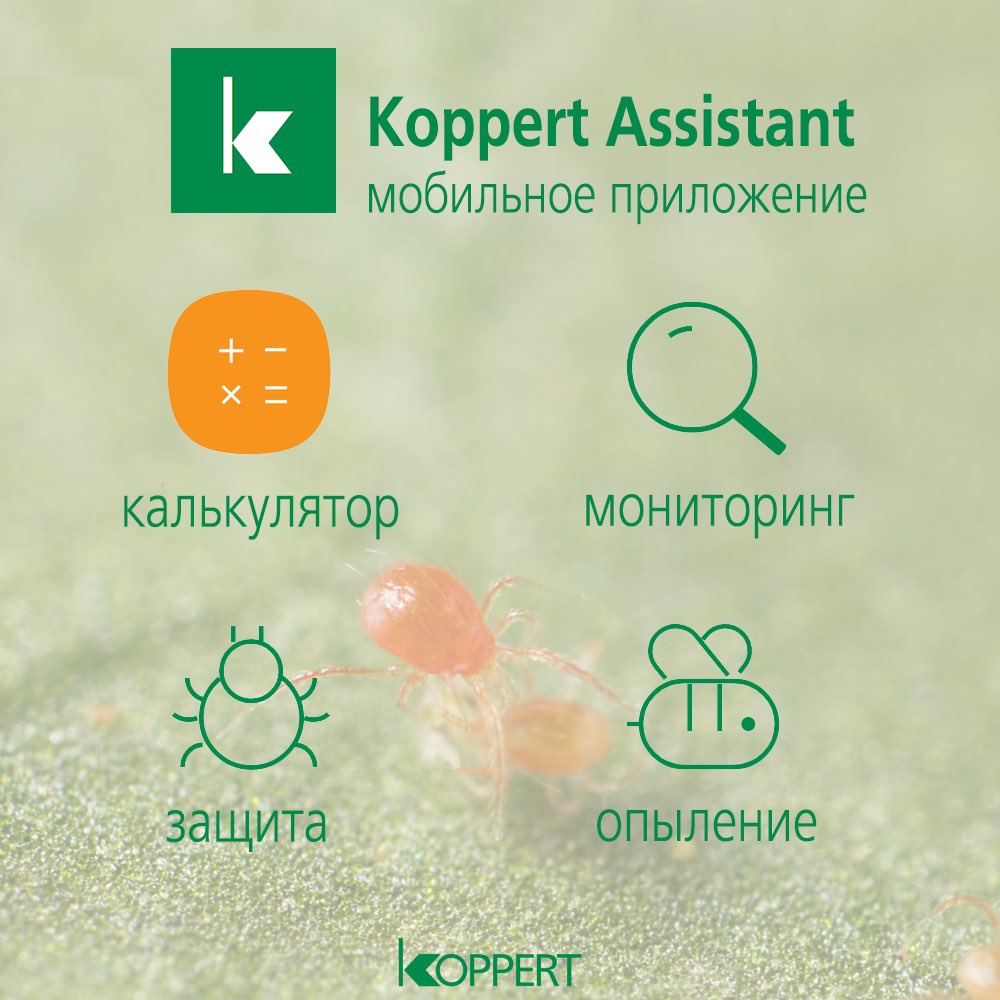 KoppertRUS's tweet photo. Уважаемые партнёры! С радостью представляем Вам наше новое приложение. 
Koppert assistant - это бесплатное приложение для мобильных устройств на базе iOS и Android, в котором собрана информация об основных продуктах компании Koppert, доступных на российском рынке. #koppert https://t.co/q8DhL08oQe