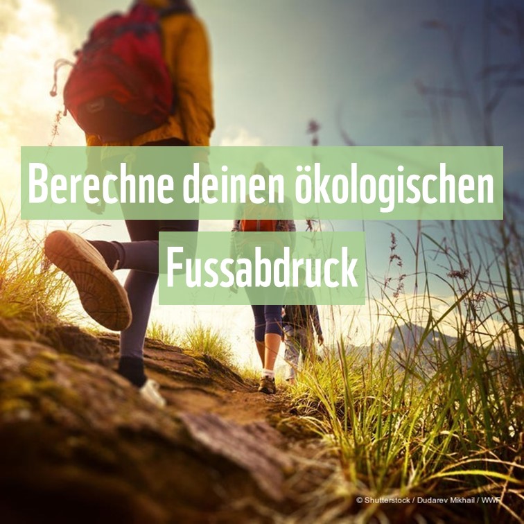 WWF Schweiz tweet media