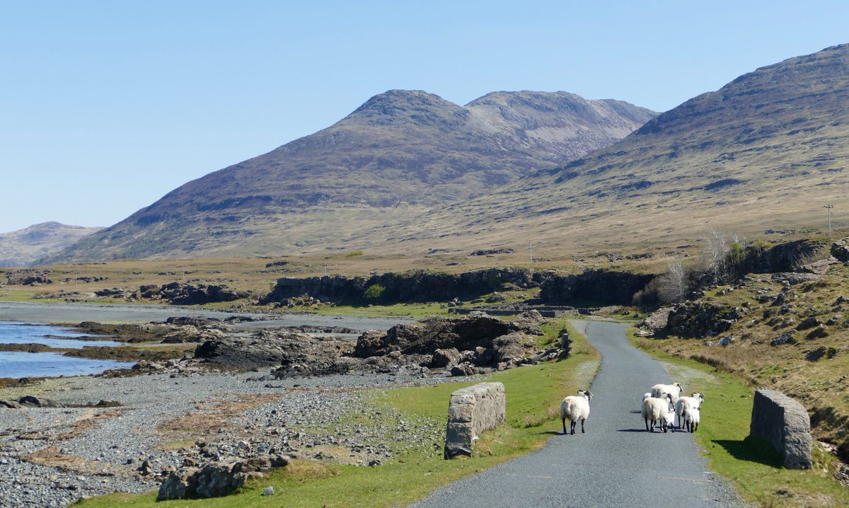 EdgeofMull tweet media