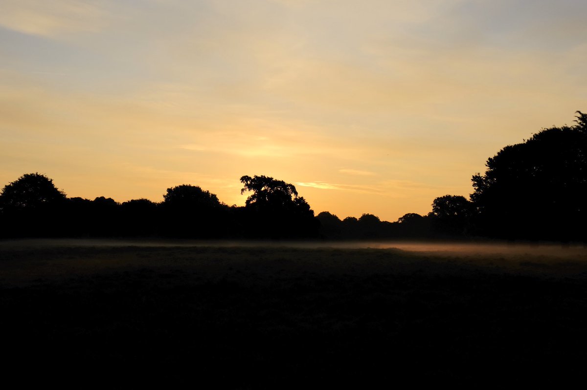 harri8here's tweet photo. stream
#mist #whippet #lightningtree https://t.co/8l4pKRuMSW
