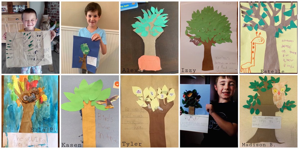 ChristalProctor's tweet photo. Tree-riffic work by kindergarteners *while distance learning! A sampling of: animals who depend on trees, parts of a tree, &amp; treehouse designs. The beauty doesn’t end because we are apart. @ChicoCountryDay #weareccds #ccds #kinderchat #shareyourlearning @ELeducation @BCOEStory https://t.co/GJqtJA6aX0