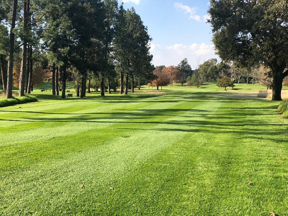 CJBents's tweet photo. We can’t wait to welcome you back to @Royal_JHB_Golf The courses are in superb condition, not a divot or pitch mark in sight and our amazing team is poised for the return to golf! In the meantime, stay patient, safe and positive. #TheRoyalExperience #HomeofgolfSA https://t.co/PRKhclMeJJ