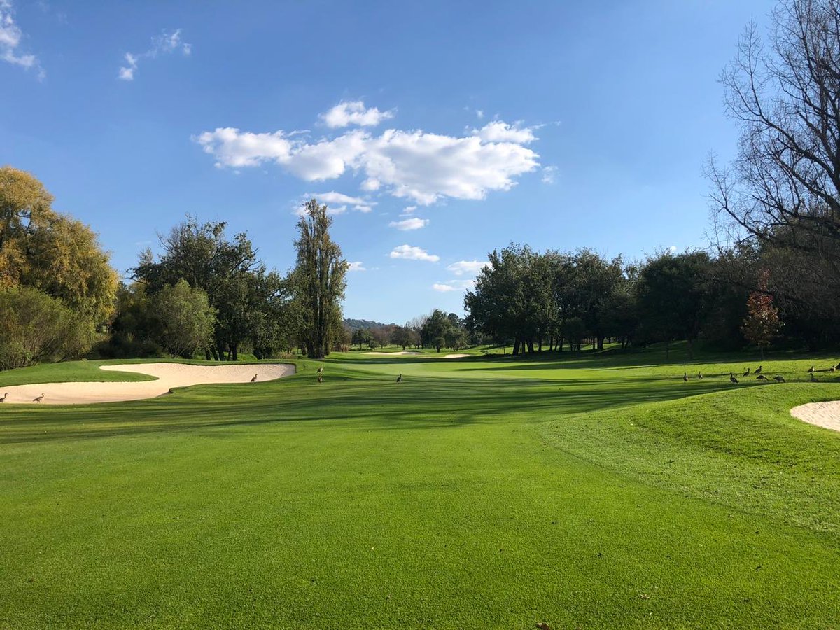 CJBents's tweet photo. We can’t wait to welcome you back to @Royal_JHB_Golf The courses are in superb condition, not a divot or pitch mark in sight and our amazing team is poised for the return to golf! In the meantime, stay patient, safe and positive. #TheRoyalExperience #HomeofgolfSA https://t.co/PRKhclMeJJ