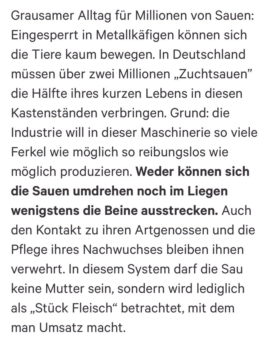 philippsteuer's tweet photo. Die Massentierhaltung in Deutschland ist schlimm. Für 2 Minuten Genuss werden Lebewesen gequält. Und @JuliaKloeckner findet, da geht noch mehr. Wer darauf aufmerksam macht, wird von ihr auf Instagram blockiert. 

Ich bin einfach nur wütend und traurig, da gefühlt hilflos. https://t.co/96HzPeQfR4