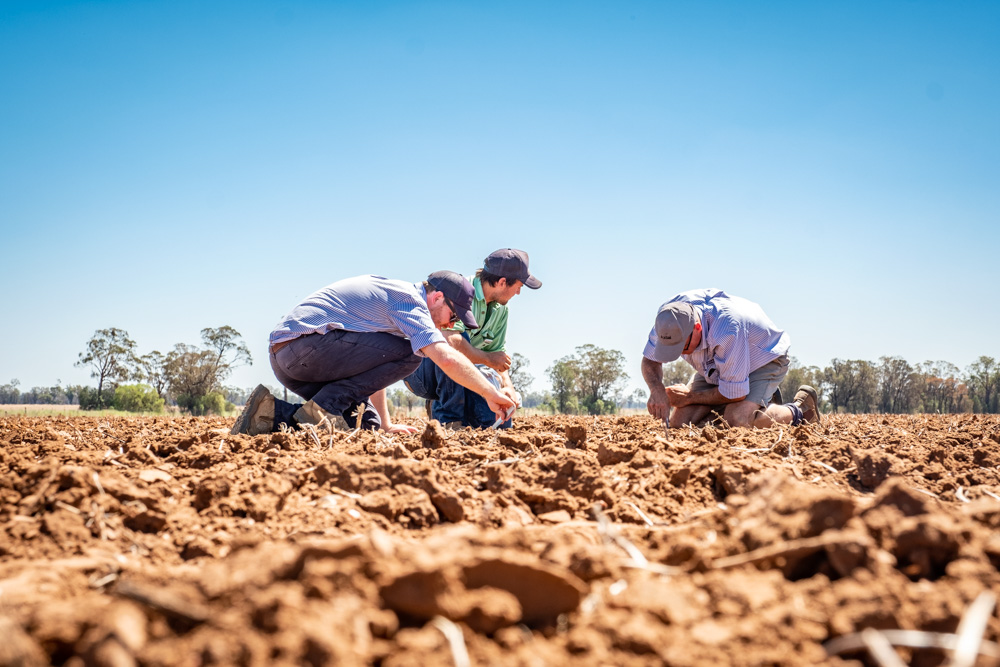 Over the years, the Weston family enterprise has evolved into one that had involved livestock and a more mixed operation, to one with a sole focus on cropping production. Read more in the latest edition of Prospect: bit.ly/2zh1G3w

#Prospect #precisionag #Variablerate