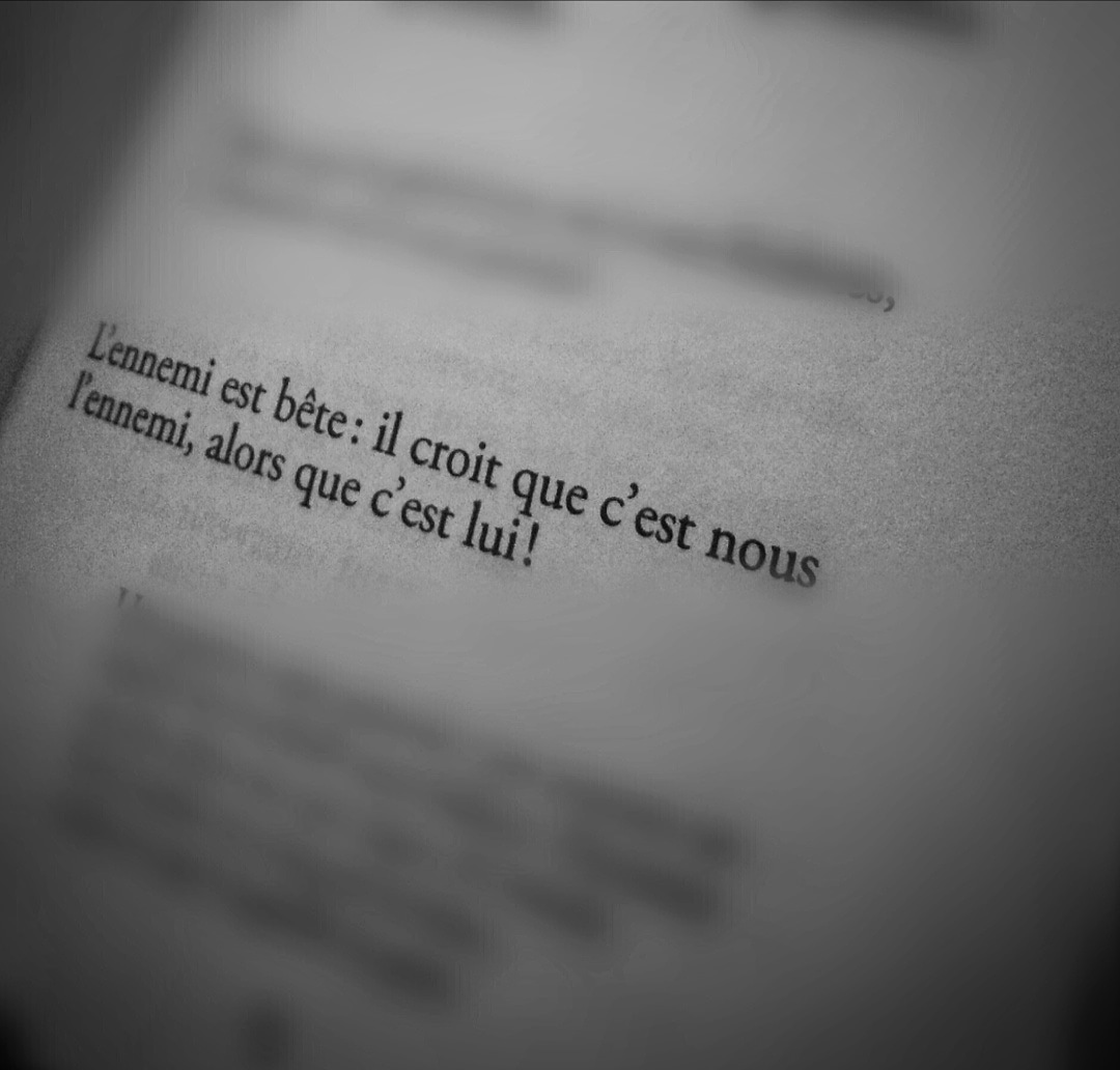 Orosedo's tweet photo. Jour 53
Logic
#pierredesproges #ennemi #bookstagram #litterature #humor #book #livre #covid_19 #confinement #noiretblanc #blackandwhitephotography #blackandwhite #logic #writing https://t.co/rWcQ3AKgTr