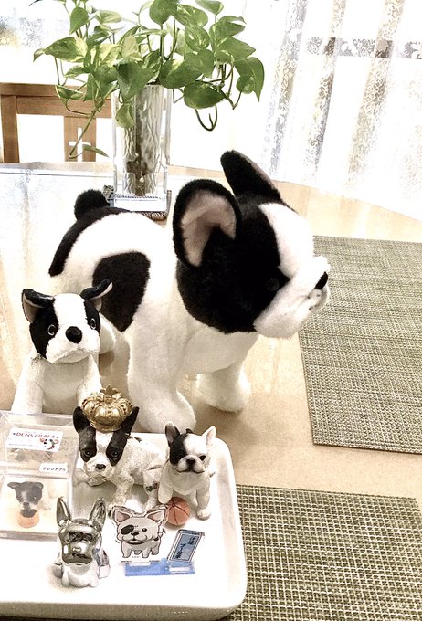 Popular Tweets Of 声優 古川登志夫 青二プロダクション 10 Whotwi Graphical Twitter Analysis