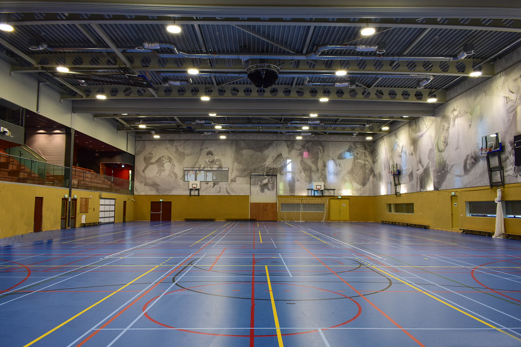 AGCLighting's tweet image. #ledufohighbay, same to #ledlinearlight,can apply to a 
sports hall where have no way to use natural light or no adequate lighting. the #lightingperformance are often #uniform and #lowglare. uniform lighting will aid to improve comfort and satisfaction

agcled.com/products/led-h…