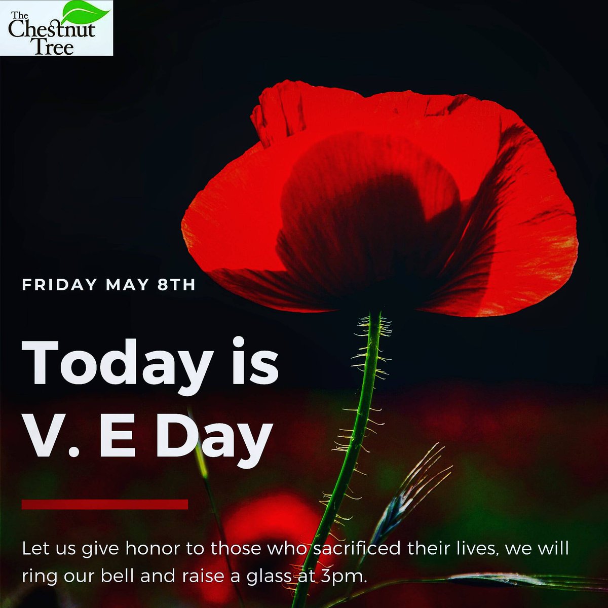 Chestnut tree (@chestnuttree113) on Twitter photo 