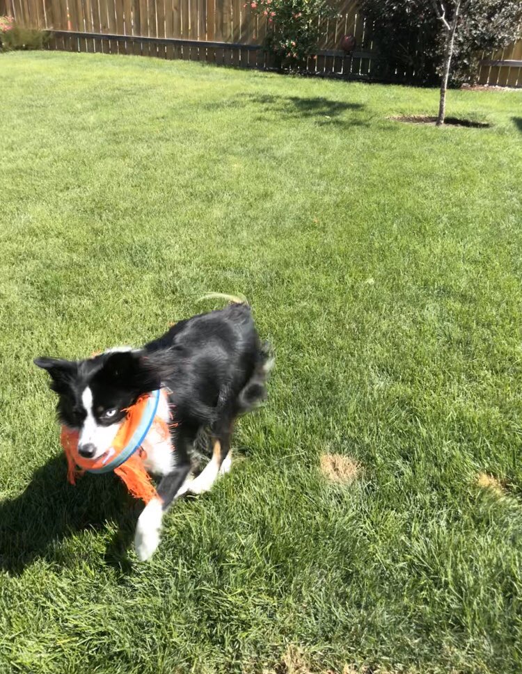 DMeliah's tweet photo. @KA_Carlton @aussiesdointhgs Samesies. https://t.co/q0VhHWg1RU