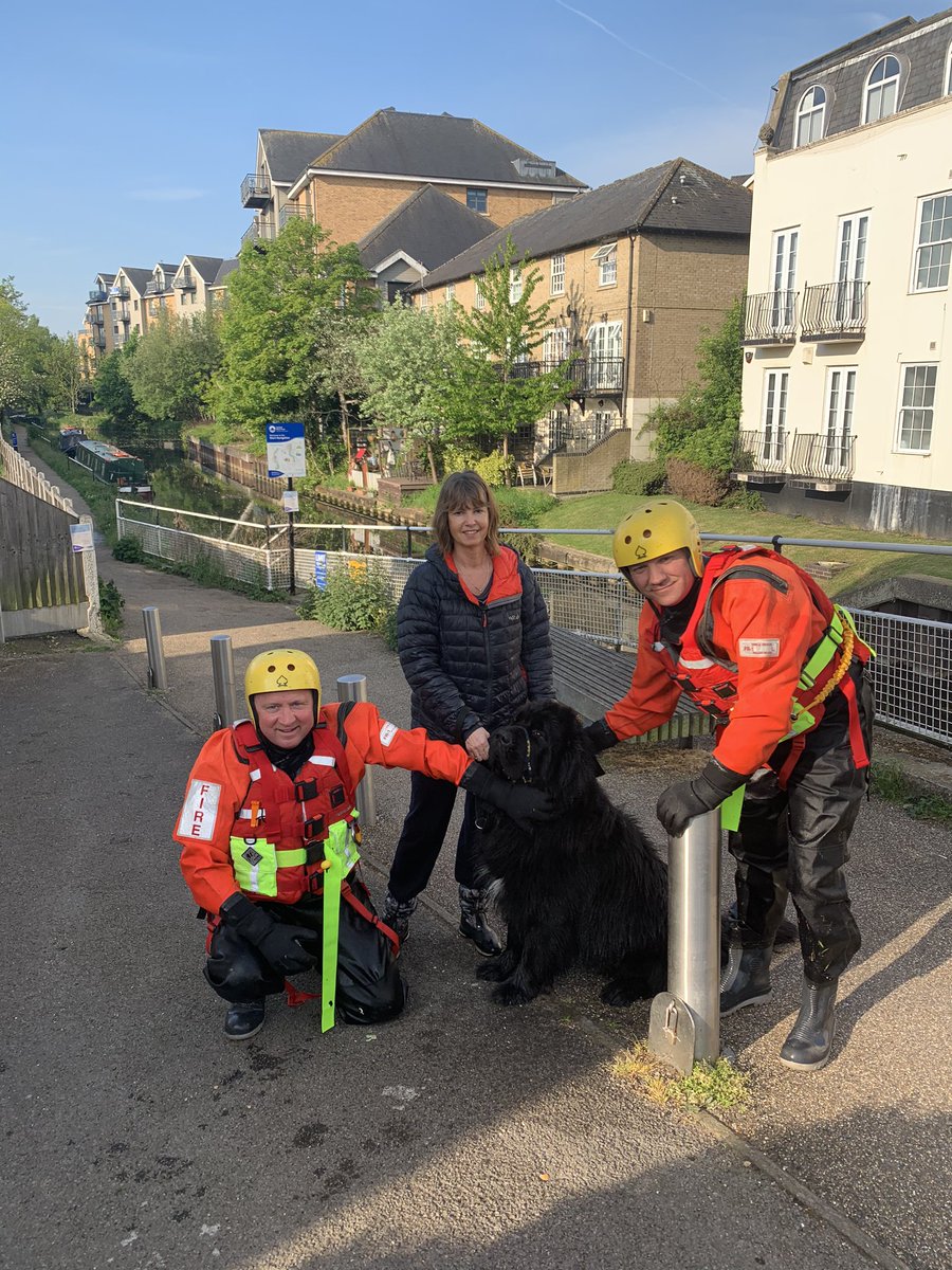 Green Watch mobilised to help an early morning swimmer, as Muttly decided to swim down the canal! Not often you rescue a water rescue dog. #Newfoundland #@HertsFRSControl #WaterSafety