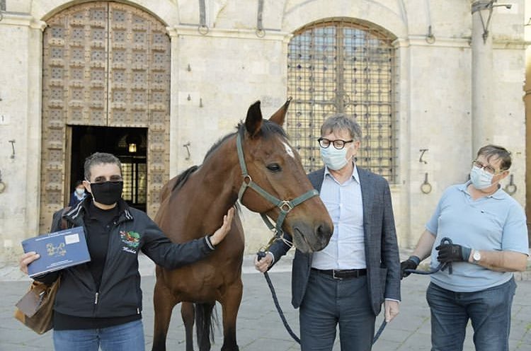 Lee__Corn's tweet photo. J’aime bien les infos de quand il ne se passe rien: ici à Sienne un cheval qui partait à l’abattoir a été sauvé. Il est arrivé de Rome, il s’appelle #Botticello, il a visité la Piazza del Campo et a été adopté fissa par le domaine #LaQuerce 🐎❤️
#Siena #SienaNews https://t.co/Our8cAJ3Vw