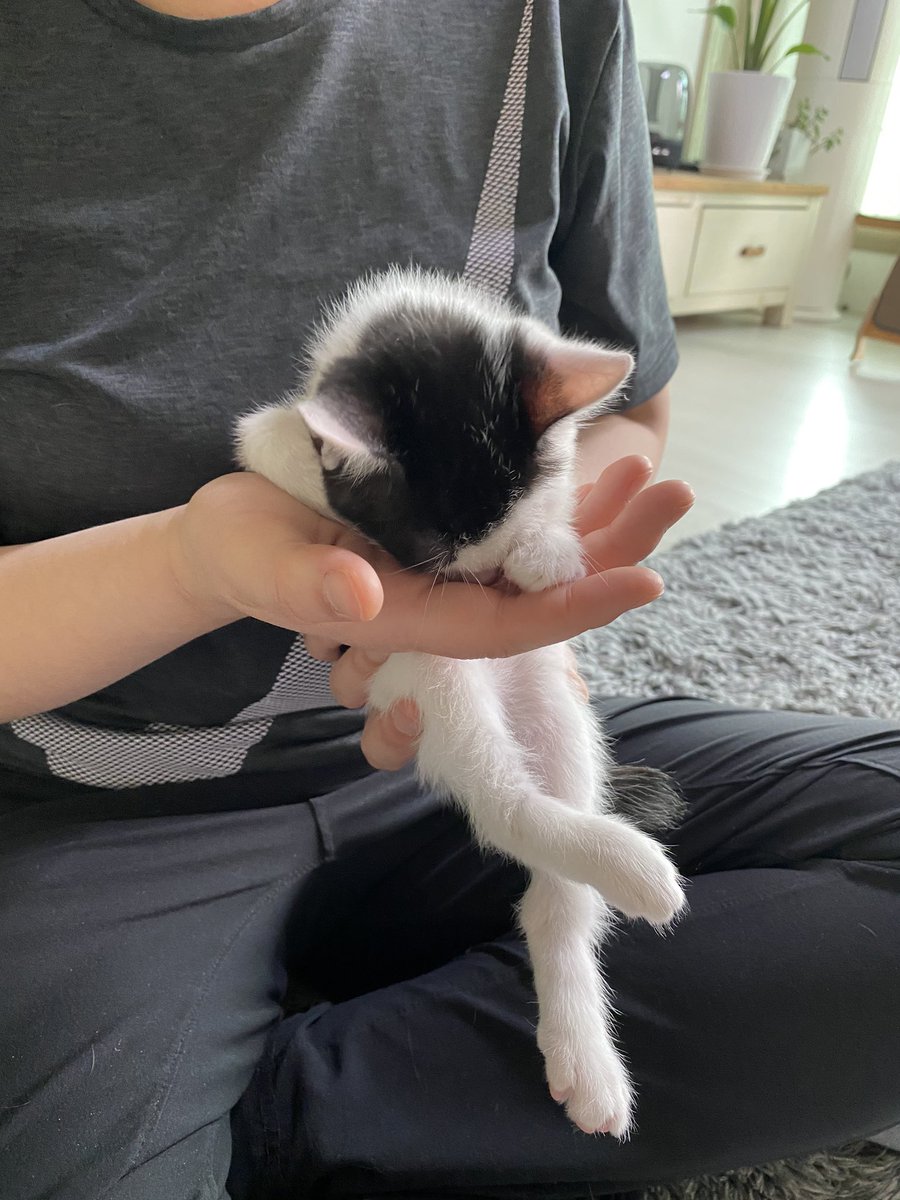 금동이는 마지막 쬽쬽이를...😅