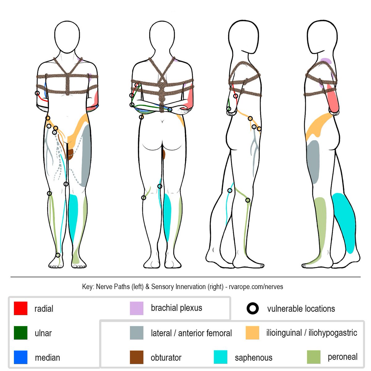 Связать девушку схема. Схемы связывания. Схемы связывания девушек. Shibari схемы. Схема бандажа для девушки.