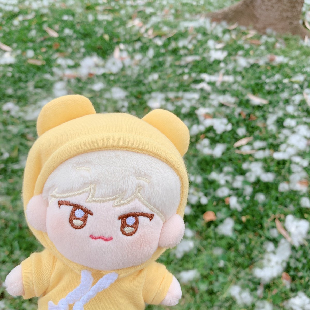 bubble_tiger's tweet photo. Wish you a nice day >< ♥︎♥︎♥︎
#버블원 #호랑영 #bubble_won #tiger_young #세븐틴인형 #seventeendoll https://t.co/AQt6uZTEpV
