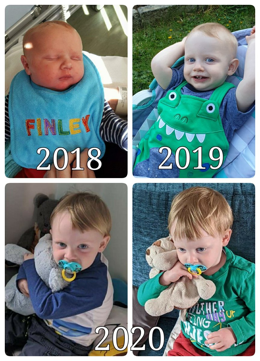 Happy 2nd Birthday Finley! #BirthdayInQuarantine #makingmemories