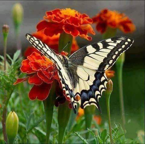 AnSarant's tweet photo. Πάντα θα υπάρχουν όμορφες μέρες για αυτούς πού έχουν ομορφιά στην καρδιά τους!! https://t.co/fVvQBwiXxf