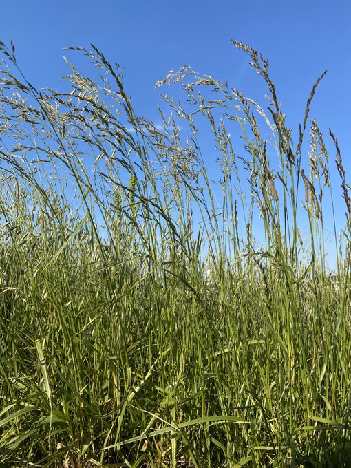 Twitterのコスプレ画像29