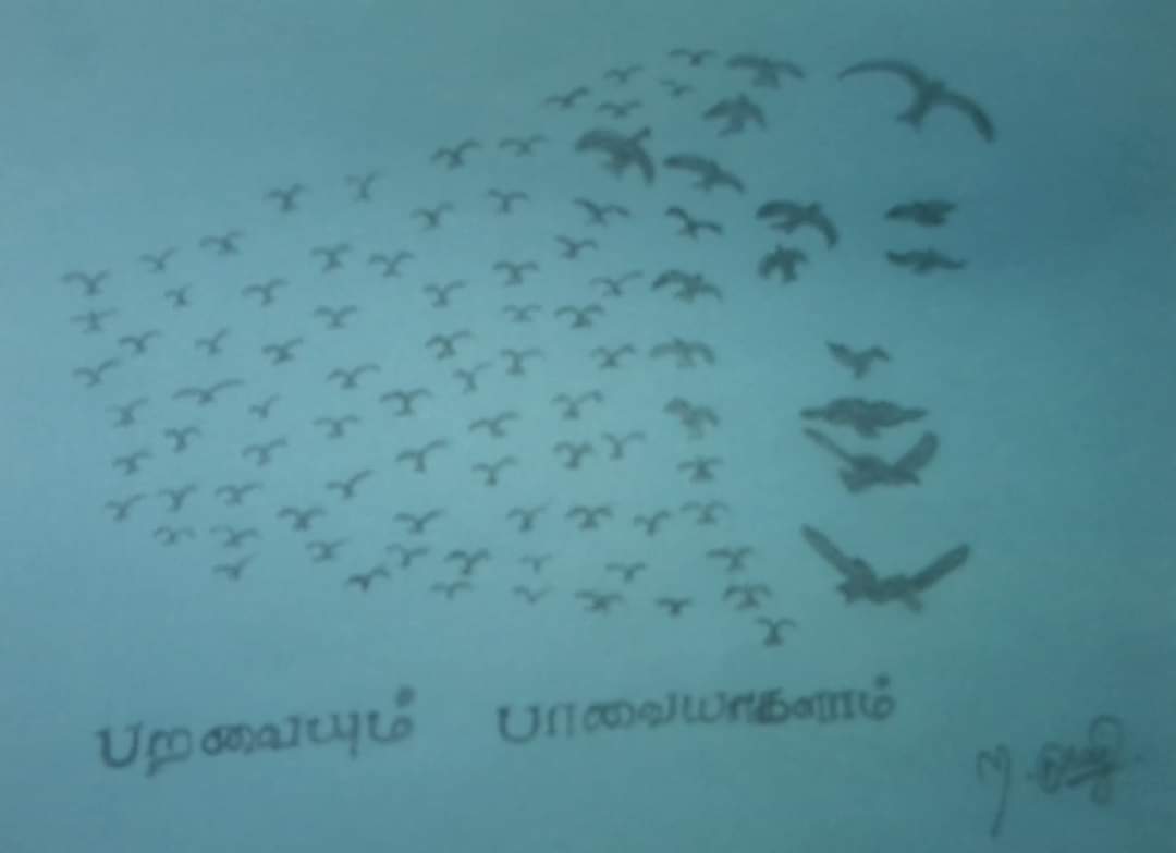 Subburaj M tweet media