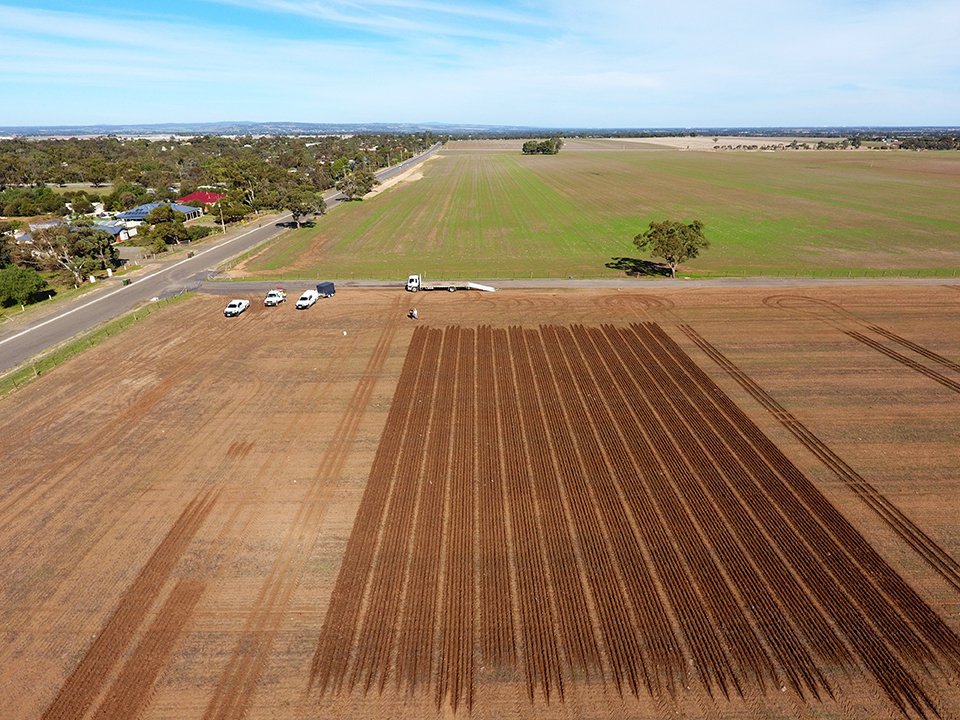 AgXtra's tweet image. The 2020 #cropcomp at Roseworthy is officially underway after some fantastic opening rains! Good luck to all our participating teams! 

Keep an eye on our socials for regular updates 🌱🌱

@SAGrainTrust @AUASA_ADELAIDE