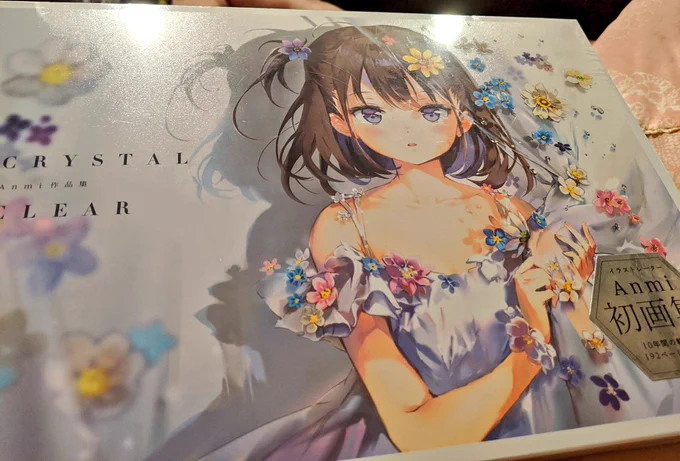 Anmi先生の画集、実物みたら欲しくなっちゃって買っちゃった………へへ 