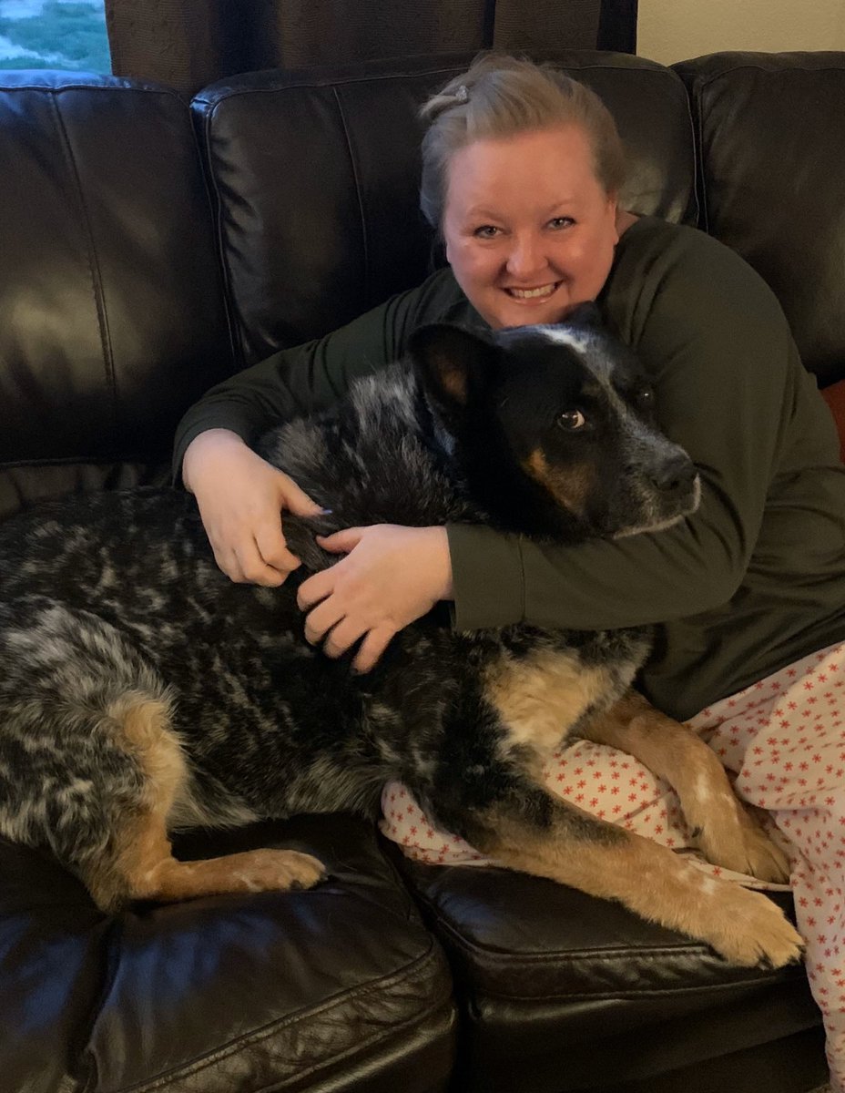 MooManBleu's tweet photo. Having a #couchcuddle with mom. She says it's funny that I'm a 90# #lapdog https://t.co/i4dmSsvGk5