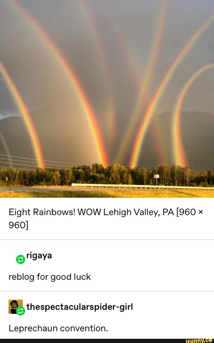 MedusaSabrina's tweet photo. @SabrinaAnnLynn we need some input, leprechaun or no? https://t.co/HhHv2g0Sto