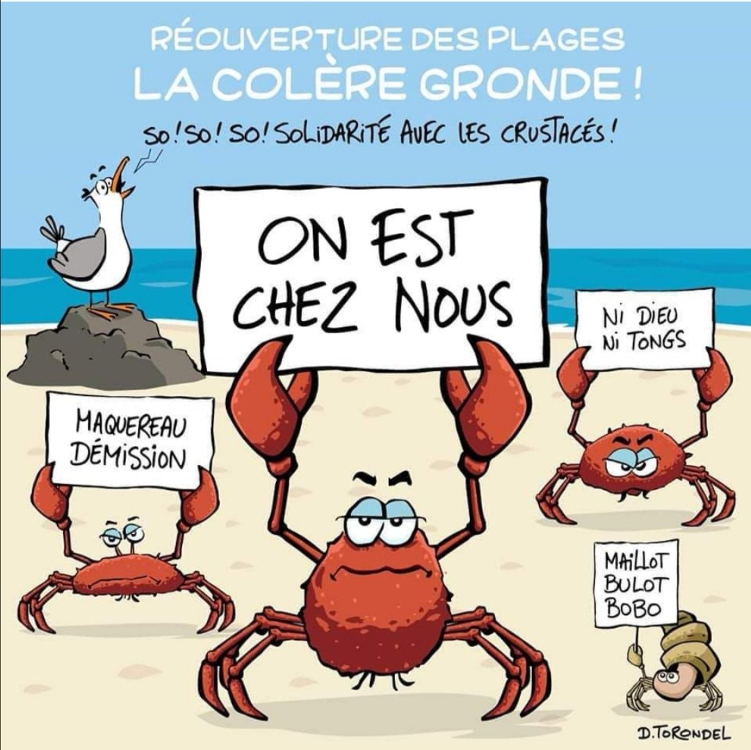 Stephane Camin On Twitter Plages Ouverture Deconfinement Humour