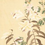main image of this resource